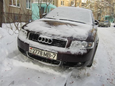 IMG_1269 (Large).jpg