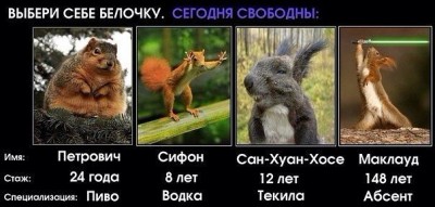 белочка.jpg