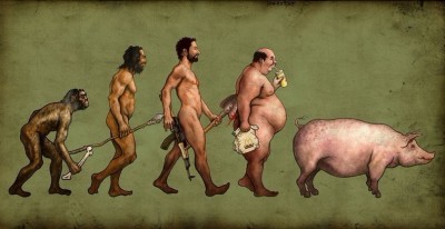 эволюция-свинья-человек-30169.jpeg