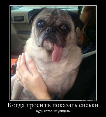 75417975_kogda-prosish-pokazat-siski.jpg