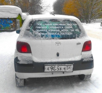 auto-007.jpg