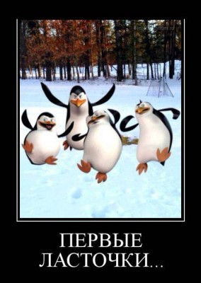 1365053775_24.jpg