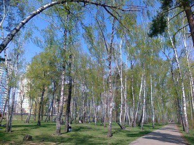 270420136211.jpg