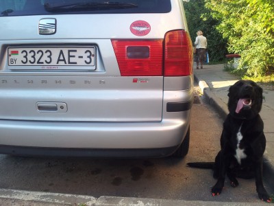 2013.07.18 20-03 однокл.на Гинтовта.jpg