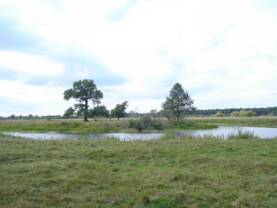 1 040.jpg