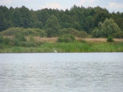 A82SM5CCEnc.jpg
