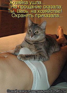 pic_4.jpg