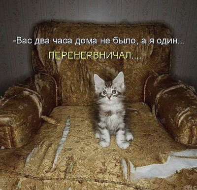 pic_2.jpg