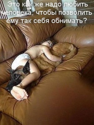 pic_8.jpg