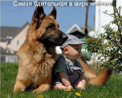 pic.jpg