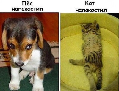 pic_17.jpg