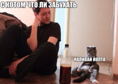 кот.png