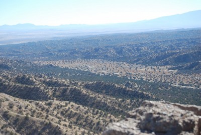 DSC_0702.JPG
