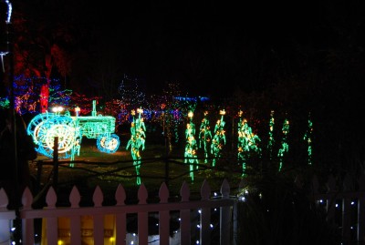 DSC_0342.JPG
