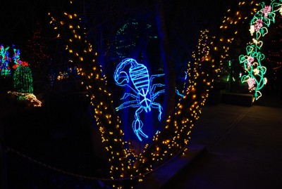 DSC_0351.JPG