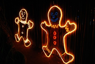 DSC_0413.JPG