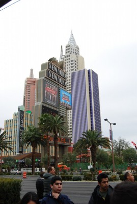 DSC_0504.JPG