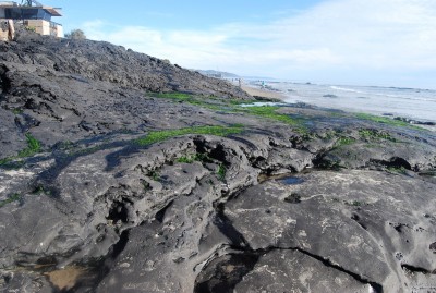DSC_0687.JPG