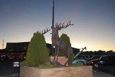 DSC_0993.JPG