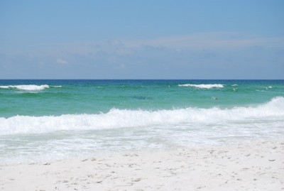 DSC_0273.JPG