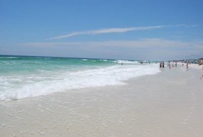 DSC_0366.JPG