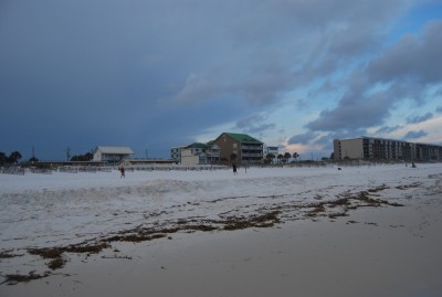 DSC_0451.JPG