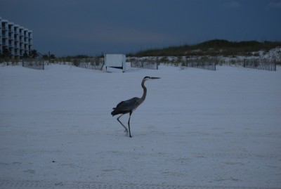 DSC_0463.JPG