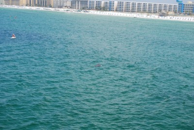 DSC_0836.JPG