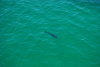 DSC_0594.JPG