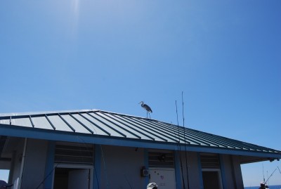 DSC_0606.JPG