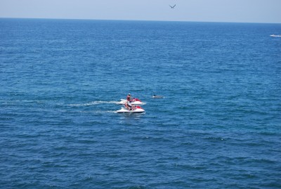 DSC_0784.JPG