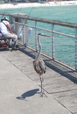 DSC_0846.JPG