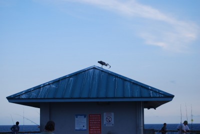 DSC_0959.JPG