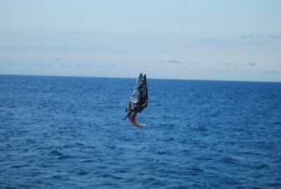 DSC_0989.JPG
