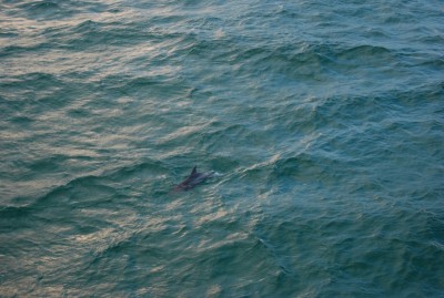 DSC_1000.JPG
