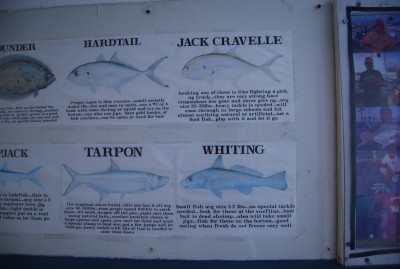 DSC_2733.JPG