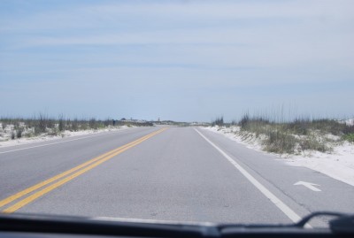 DSC_1174.JPG