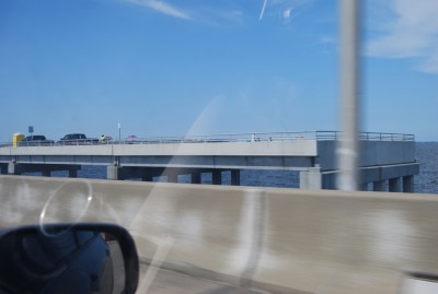 DSC_1310.JPG
