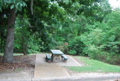 DSC_1322.JPG