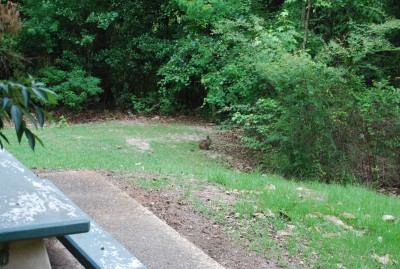 DSC_1323.JPG