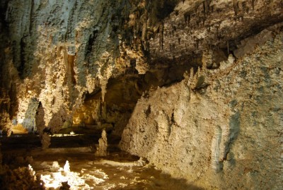 DSC_1411.JPG