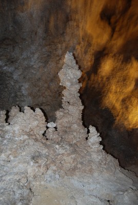 DSC_1419.JPG