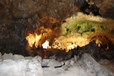 DSC_1421.JPG