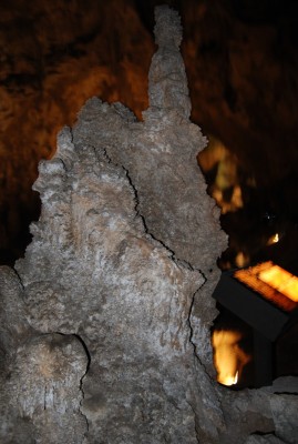 DSC_1457.JPG
