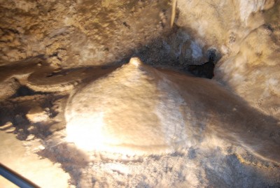 DSC_1521.JPG