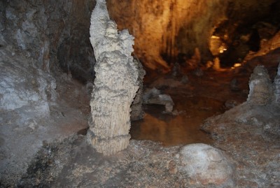 DSC_1526.JPG