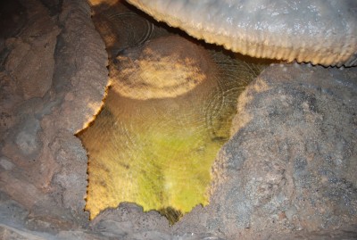 DSC_1548.JPG