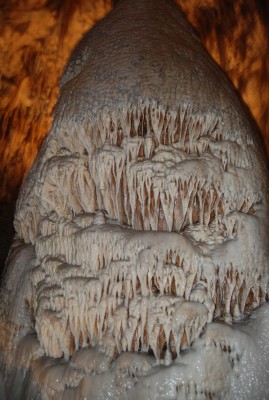 DSC_1550.JPG