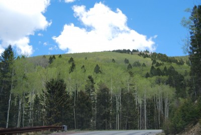 DSC_0038.JPG