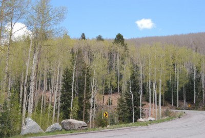 DSC_0052.JPG